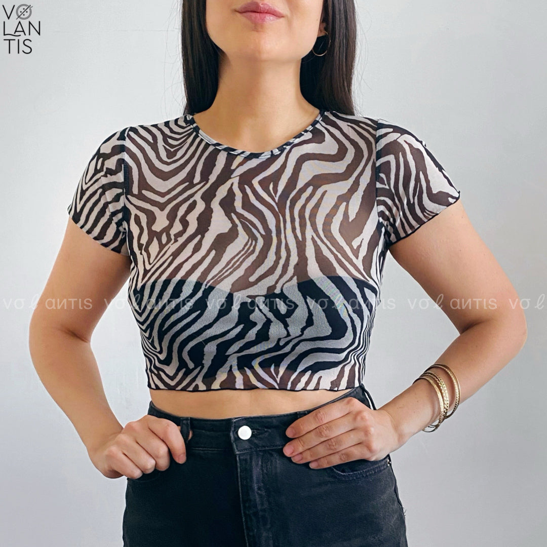 Crop transparencia Cebra